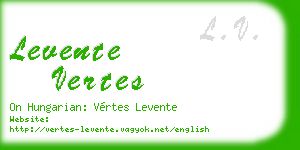 levente vertes business card